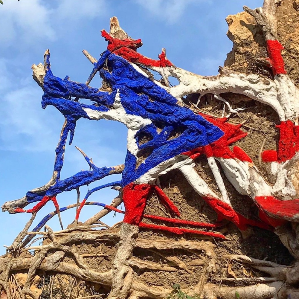 Meet your Posher, Wanda